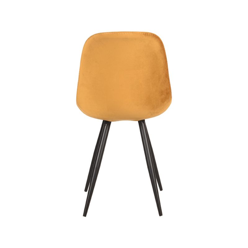Chaise design Capri - Maestria