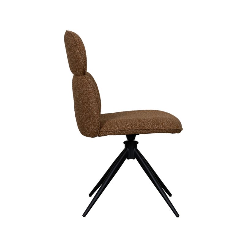 Chaise Finn - Maestria