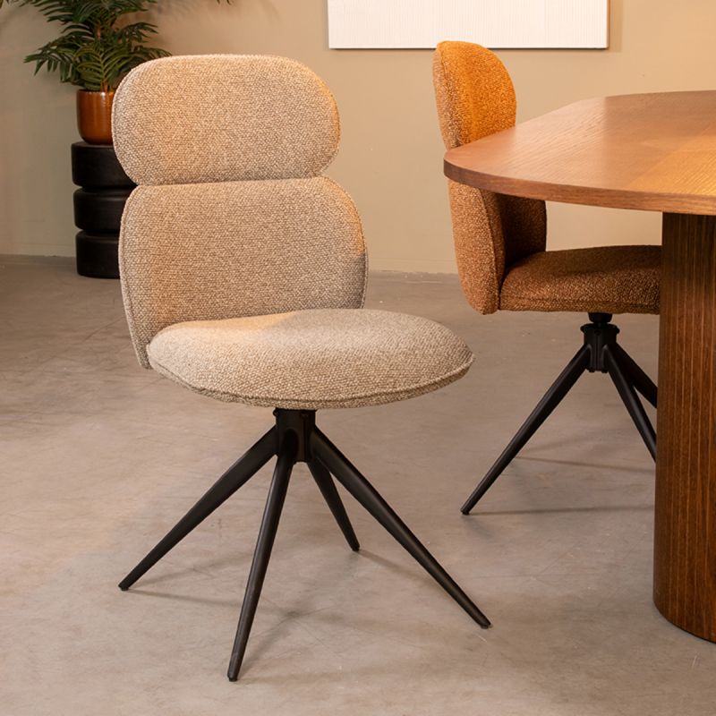 Chaise Finn - Maestria