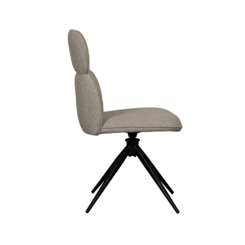 Chaise Finn - Maestria