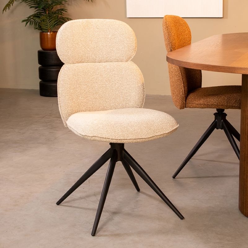 Chaise Finn - Maestria