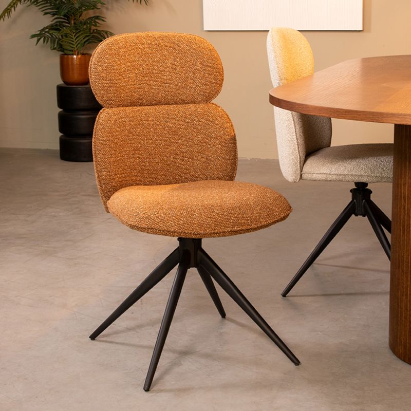 Chaise Finn - Maestria