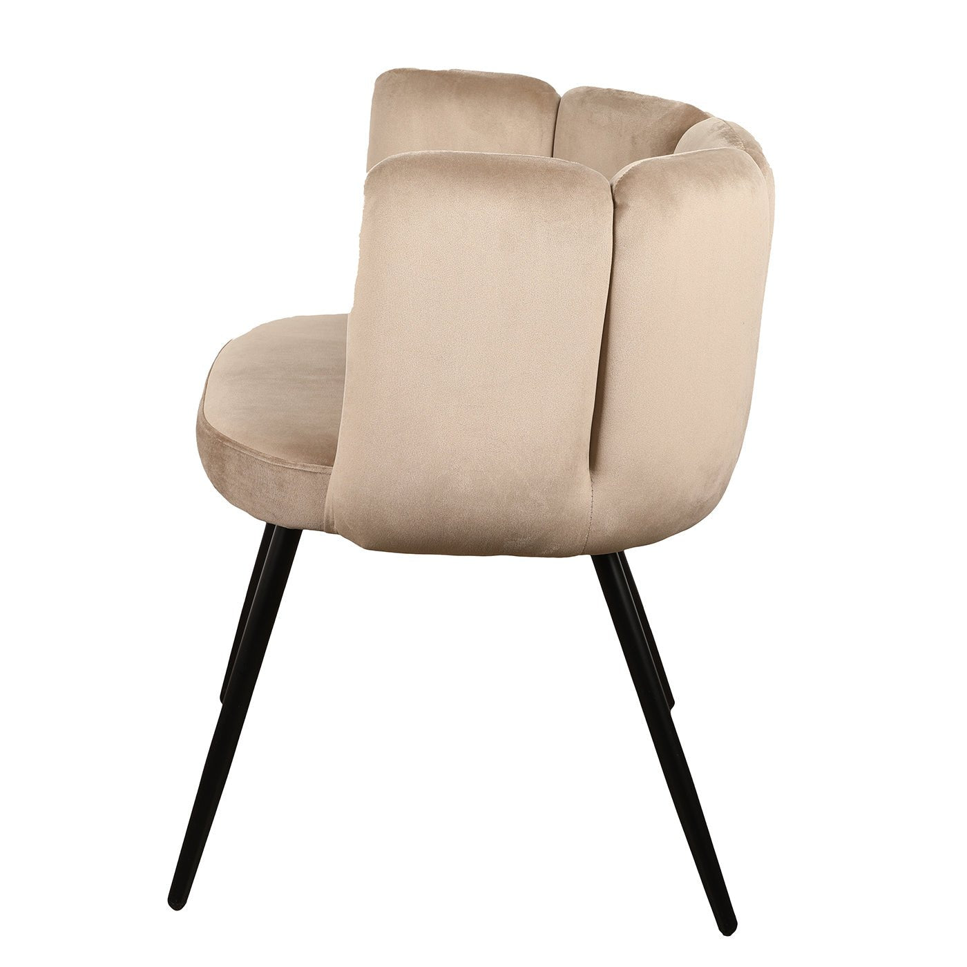 Chaise High Five - Maestria