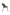 Chaise Rainbow - Maestria