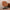 Fauteuil Pivotant Chill - Zone - Maestria