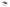 Set de 2 Tables Basses Lars – Bois de Manguier Clair ou Noir - Maestria