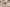 Set de 2 Tables Basses Lars – Bois de Manguier Clair ou Noir - Maestria