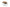 Set de 2 Tables Basses Lars – Bois de Manguier Clair ou Noir - Maestria