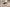 Set de 2 Tables Basses Lars – Bois de Manguier Clair ou Noir - Maestria
