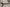 Set de 2 Tables Basses Laveu – Bois de Manguier Clair ou Noir - Maestria