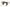 Table Basse Jean – Bois de Manguier Brun Clair - Maestria
