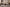 Table Basse Matteo – Bois de Manguier Brun Clair - Maestria